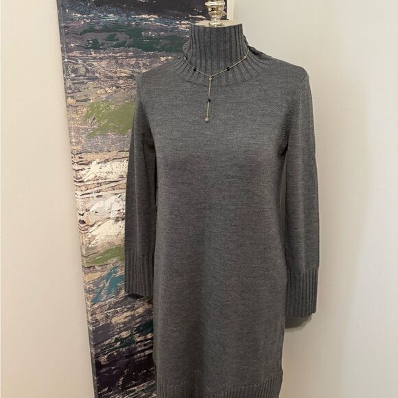 NWT Eileen Fisher Ash Extra Fine Merino Regenerative Wool Turtleneck Dress SZ XS - Picture 2 of 12